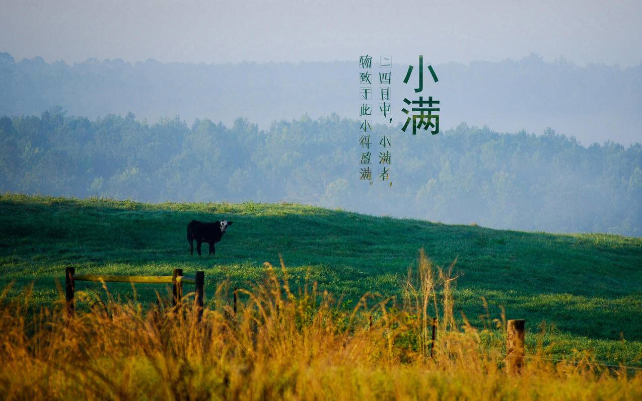 剪映课程全套学习线下 - 抖音热门舞蹈简单0基础,抖音0基础舞蹈教学报名,抖音后台运营 教程