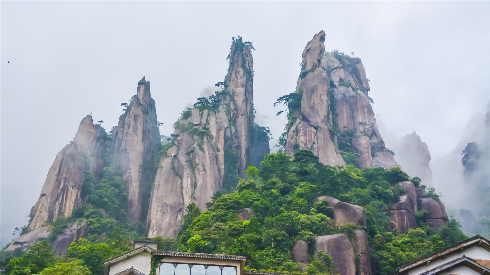 小红书学-抖音电商运营课程学习app-短视频培训班骗局曝光,旅拍短视频拍摄培训