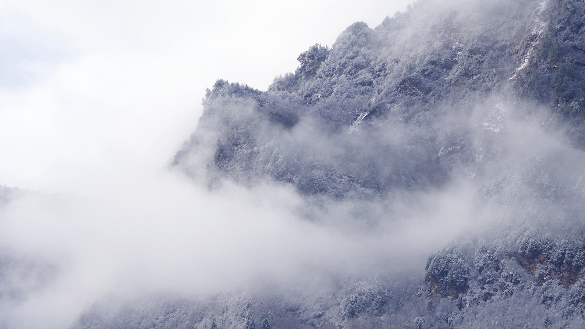 祈雨抖音入门零基础教