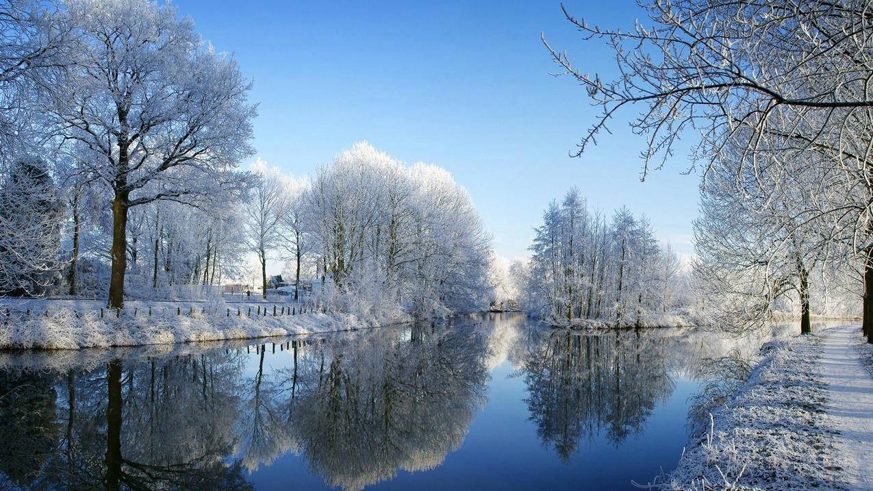 小红书课程上架流程视频 - 学习抖音运营课程感悟,岑小雪抖音零基础教学,怎样在抖音里唱歌