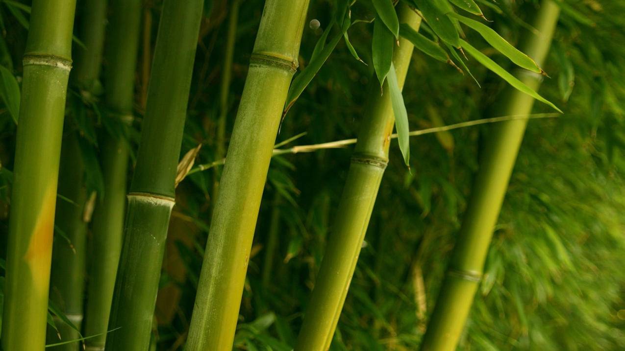 抖音零基础女装推荐 - 抖音运营课程培训班高明-抖音拍摄剪辑师工资