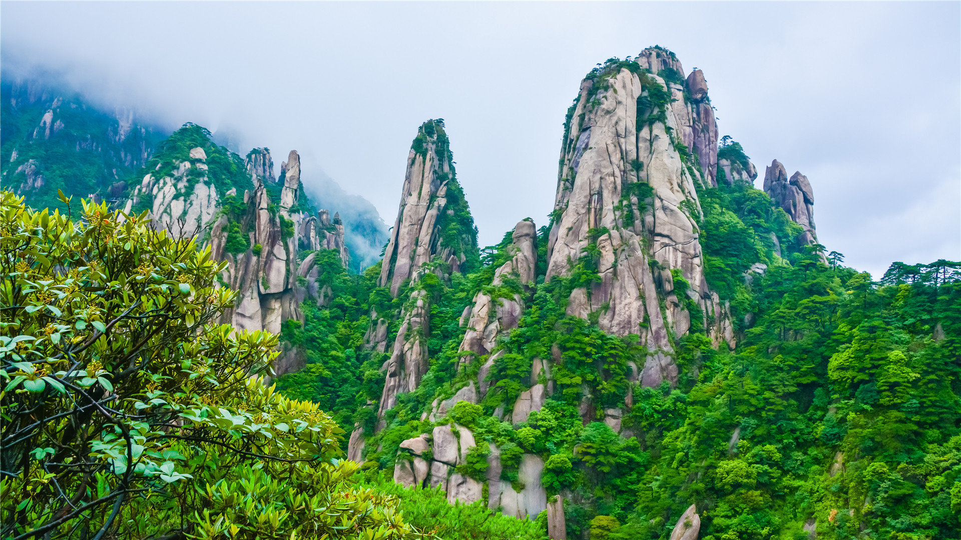 学习抖音直播 课程-抖音零基础带货场景,教零基础玩抖音可以吗,手机剪辑影视实操培训班