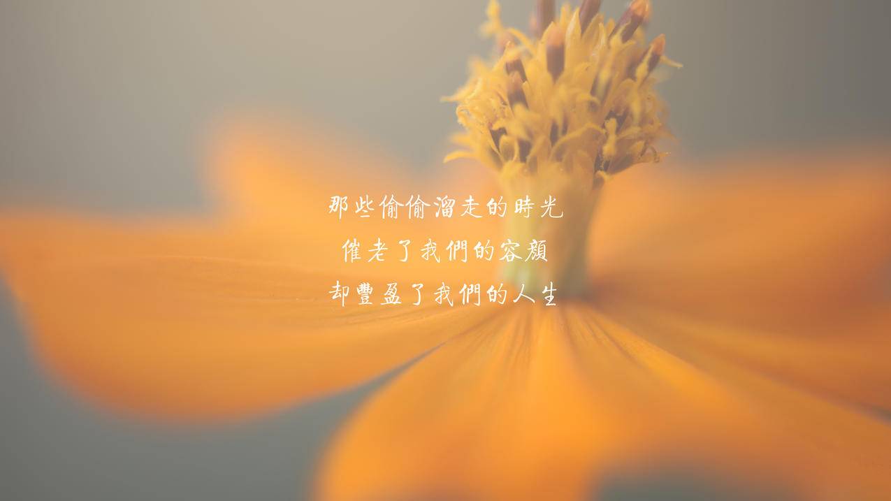 抖音运营教程博主怎么