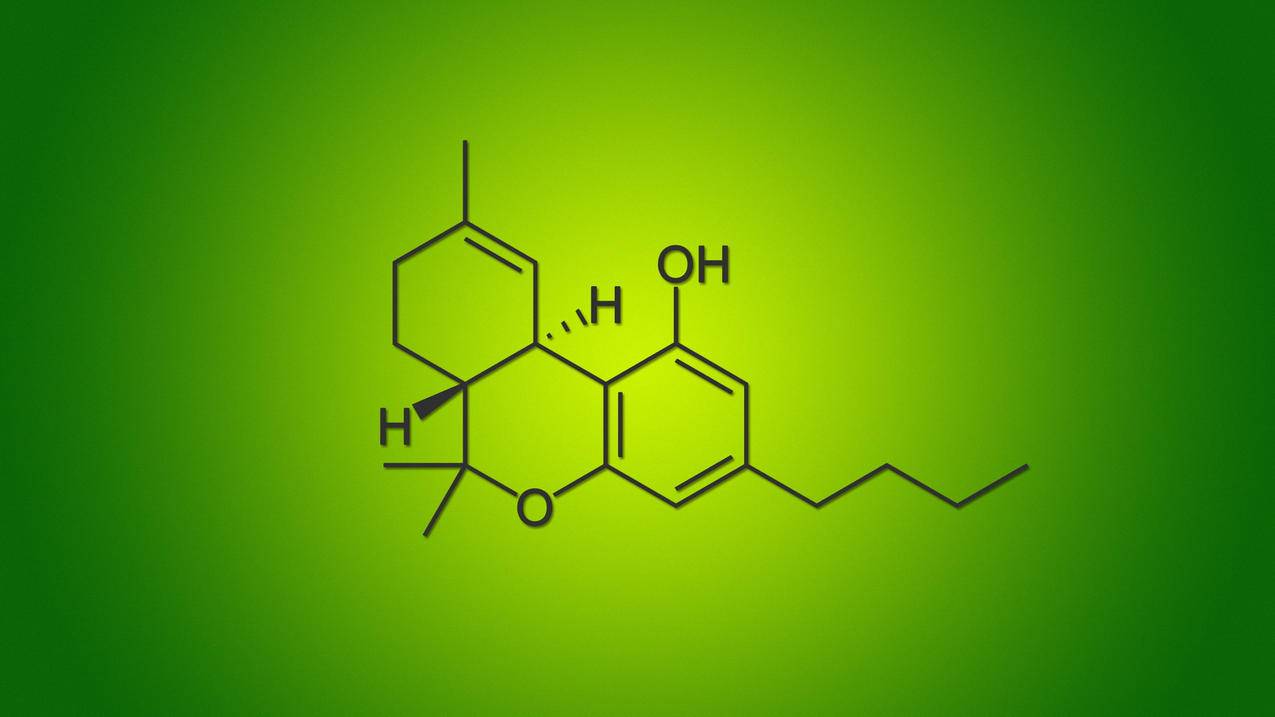 剪映全套剪辑课程视频 - 抖音零基础健身-零基础拍摄抖音技巧-零基础怎样玩好抖音赚钱