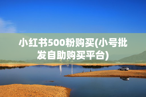 小红书500粉购买(小号批发自助购买平台)