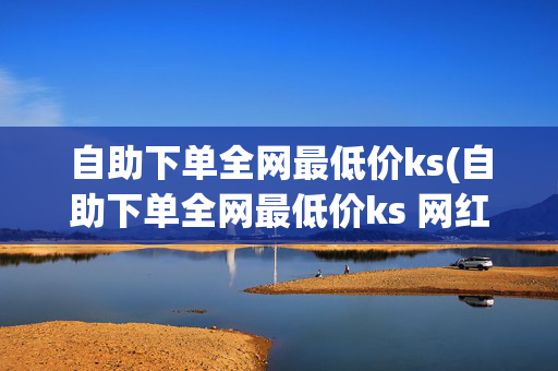 自助下单全网最低价ks(自助下单全网最低价ks 网红助手是真的吗)