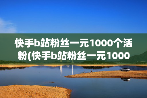 快手b站粉丝一元1000个活粉(快手b站粉丝一元1000个活粉是多少)